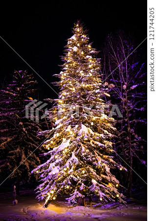 Christmas in Biei - Shirokane Birke 121744205