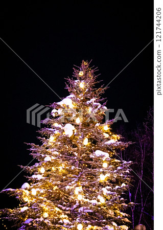 Christmas in Biei - Shirokane Birke 121744206