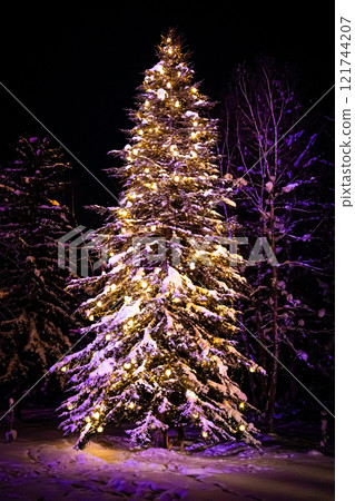 Christmas in Biei - Shirokane Birke 121744207