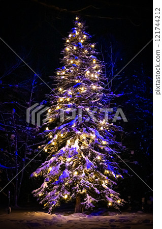 聖誕節美瑛白金伯克 121744212