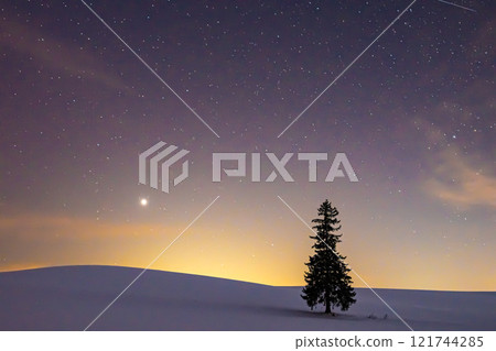 Biei Christmas tree at night Biei Christmas tree at night 121744285