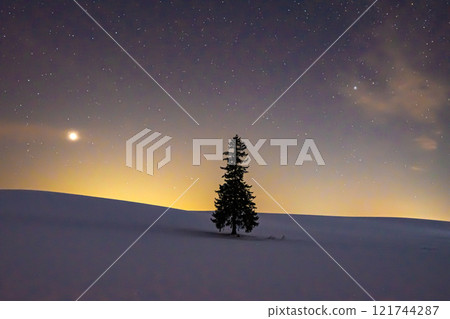 Biei Christmas tree at night 121744287