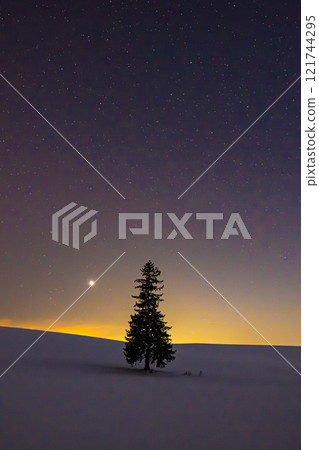 Biei Christmas tree at night 121744295