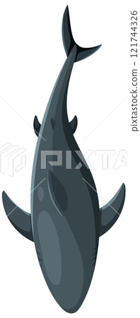 Top View of a Shark Illustration 121744326