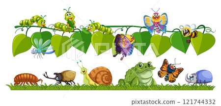 Colorful Insects and Animals on Leaves 121744332