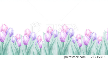 Pink and lilac tulips watercolor isolated seamless border. Hand draw delicate pastel flower horizontal banner for festive romantic Valentines, Mother and Women Day design, fabric, packaging tape. 121745318