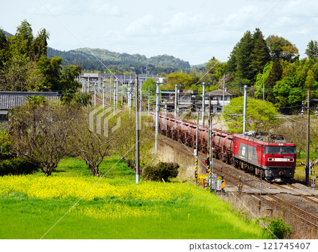 春天油菜花盛開時，常盤路上行駛的安中貨運列車 121745407