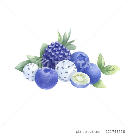 Blueberry, blackberry, mint and candy with chia seeds watercolor composition. Hand drawn isolated illustration juicy wild berries bilberry and dewberry for foodstuff package and healthy food cookbook. 121745538