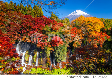 Kamiide, Fujinomiya City, Shizuoka Prefecture - Shiraito Falls with vibrant autumn leaves and the backdrop of Mount Fuji, a World Heritage Site 121746840
