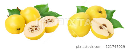 Fresh quince with half isolated on the white background with full depth of field 121747029
