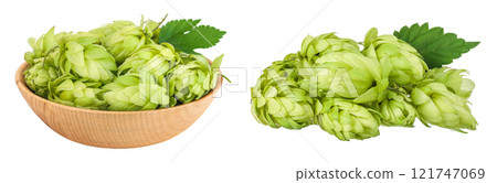 Hop cones in wooden bowl isolated on white background. Beer brewing ingredients Hop cones in wooden bowl isolated on white background. Beer brewing ingredients 121747069