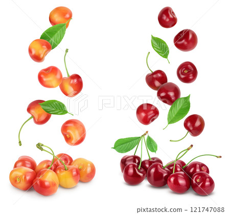 yellow-red sweet cherry isolated on white background with full depth of field yellow-red sweet cherry isolated on white background with full depth of field 121747088