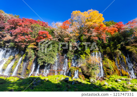 Shiraito Falls, a World Heritage Site in Kamiide, Fujinomiya City, Shizuoka Prefecture, is a beautiful sight with autumn leaves and maples. Shiraito Falls, a World Heritage Site in Kamiide, Fujinomiya City, Shizuoka Prefecture, is a beautiful sight with autumn leaves and maples. 121747331