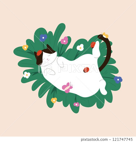 Tuxedo cat relaxing on grass surrounded by colorful flowers, ladybugs and butterfly in flat style. Perfect for spring, summer, nature and children design. 121747745