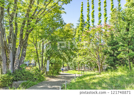 Kita Urawa Park Kita Urawa Park 121748871