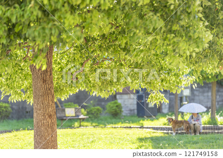 北浦和東公園 北浦和東公園 121749158