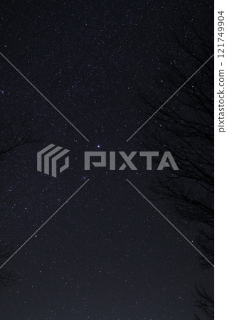 Starry sky 121749904