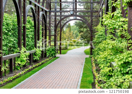 Serene pathway through a lush garden archway in full bloom at midday Serene pathway through a lush garden archway in full bloom at midday 121750198