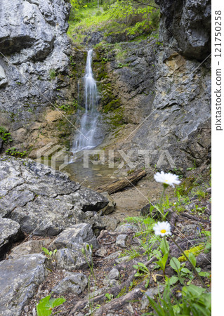 Raztocky waterfall, Kvacianska valley, Chocske vrchy, Slovakia Raztocky waterfall, Kvacianska valley, Chocske vrchy, Slovakia 121750258