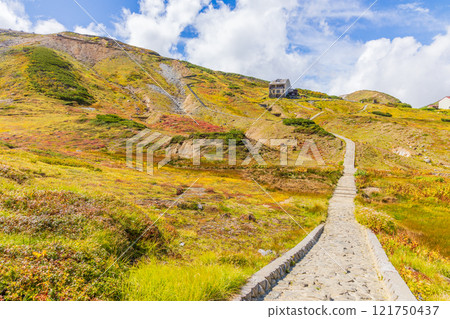Autumn in the Tateyama Kurobe Alpine Route: Autumn leaves at Raichozawa 121750437