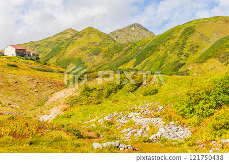 Autumn in the Tateyama Kurobe Alpine Route: Autumn leaves at Raichozawa Autumn in the Tateyama Kurobe Alpine Route: Autumn leaves at Raichozawa 121750438