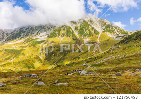 秋天的立山黑部阿爾卑斯山路線～紅葉的室堂平 121750458