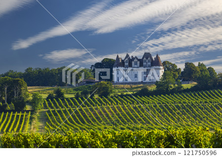Chateau Monbazillac ( Monbazillac castle) with vineyards, Aquitaine, France 121750596