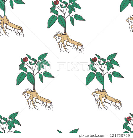 Ginseng root with steam and leaves seamless pattern 121750769