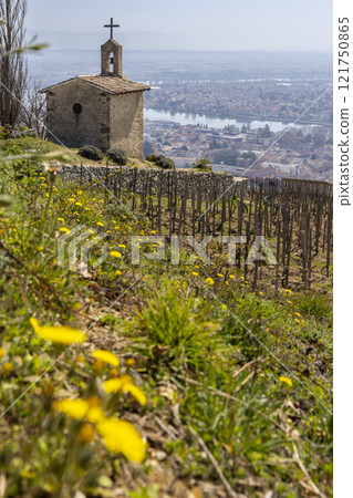 Grand cru vineyard and Chapel of Saint Christopher, Tain l'Hermitage, Rhone-Alpes, France Grand cru vineyard and Chapel of Saint Christopher, Tain l'Hermitage, Rhone-Alpes, France 121750865