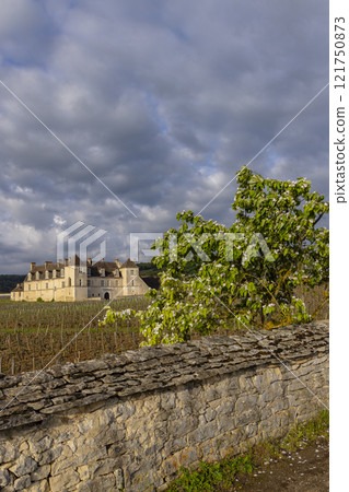Typical vineyards near Clos de Vougeot, Cote de Nuits, Burgundy, France 121750873