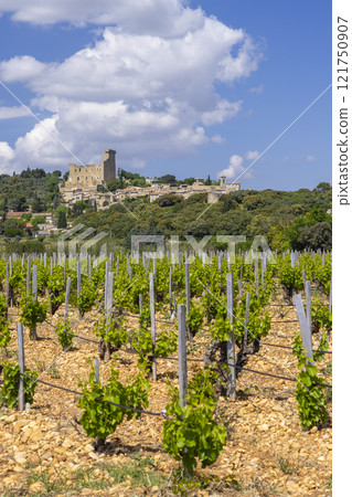 Typical vineyard with stones near Chateauneuf-du-Pape, Cotes du Rhone, France 121750907