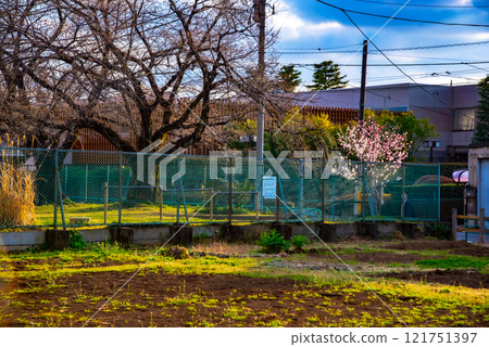Spring-like suburban scenery Spring-like suburban scenery 121751397