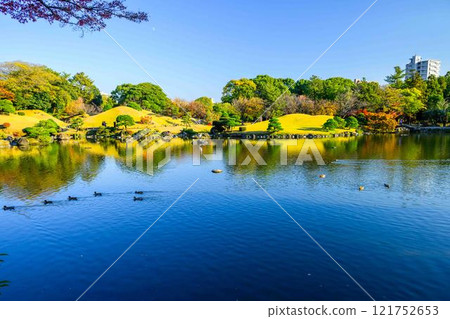 美麗的日本花園,秋天的背景,秋葉風景,水前寺成趣園(水前寺公園) 美麗的日本花園,秋天的背景,秋葉風景,水前寺成趣園(水前寺公園) 121752653