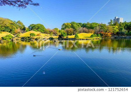 美麗的日本花園,秋天的背景,秋葉風景,水前寺成趣園(水前寺公園) 美麗的日本花園,秋天的背景,秋葉風景,水前寺成趣園(水前寺公園) 121752654