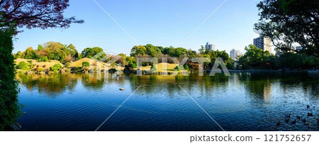 美麗的日本花園，秋天的背景，秋葉風景，水前寺成趣園（水前寺公園） 121752657