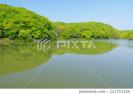 Spring in Yoshimi Town and Lake Haccho 121753109