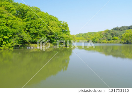 春天的吉見町/八丁湖 121753110