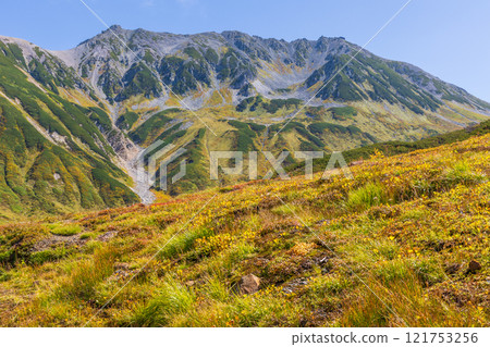秋天的立山黑部阿爾卑斯山路線～紅葉的雷鳥澤 121753256