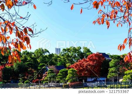 秋天的日本庭園風景在清澈的秋天背景下閃閃發光「舊細川禦部住宅」竹燈在熊本市限量發售 121753367