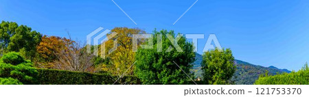 秋天的日本庭園風景在清澈的秋天背景下閃閃發光「舊細川禦部住宅」竹燈在熊本市限量發售 121753370