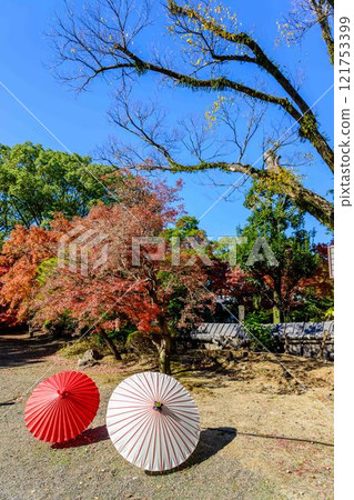 秋天的日本庭園風景在清澈的秋天背景下閃閃發光「舊細川禦部住宅」竹燈在熊本市限量發售 秋天的日本庭園風景在清澈的秋天背景下閃閃發光「舊細川禦部住宅」竹燈在熊本市限量發售 121753399