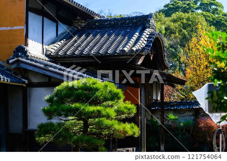 Autumn Japanese garden scenery with clear autumn light as background "Former Hosokawa Gyobu Residence" Bamboo lanterns Limited release Kumamoto City 121754064