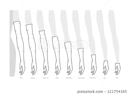 Set of Loose Gloves Length Chart diagram with name text Elbow Short Wrist Fashion hand accessory clothing technical  121754165