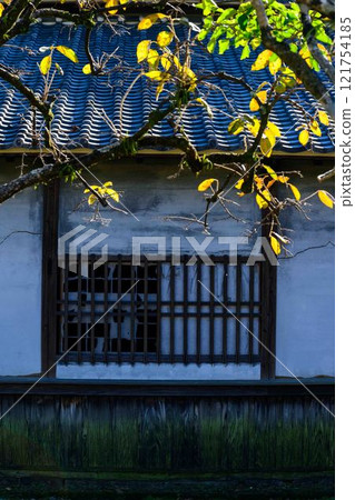 Walls and Buildings: Japanese Garden Scenery "Former Hosokawa Gyobu Residence" Bamboo Lanterns, Limited Release, Kumamoto City Walls and Buildings: Japanese Garden Scenery "Former Hosokawa Gyobu Residence" Bamboo Lanterns, Limited Release, Kumamoto City 121754185