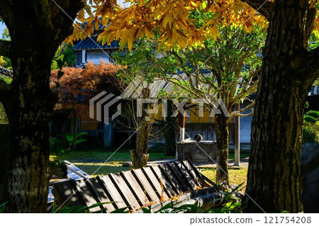 與明亮的秋光相映襯的秋季日本庭園風景「舊細川禦部住宅」竹燈在熊本市限量發售 121754208