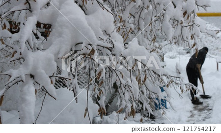 snowy garden, park or backyard and dark figure of man with shovel on his back clearing path through snowdrifts after snow storm 121754217