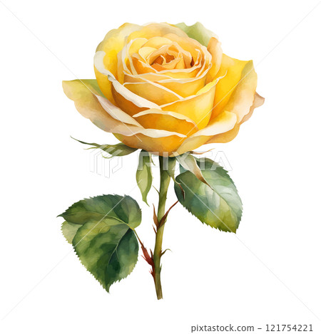 Watercolor yellow roses flowers, symbol of love, wedding, purity, vector illustration 121754221