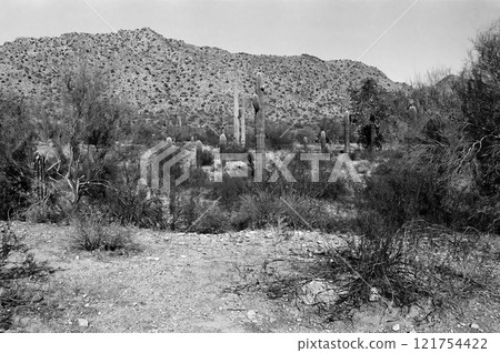 San Tan Mountains Sonora Desert Arizona San Tan Mountains Sonora Desert Arizona 121754422
