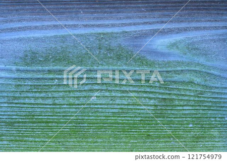 Historic wall "Former Hosokawa Gyobu Residence" Bamboo lanterns open to the public for a limited time in Kumamoto City 121754979