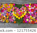 Colorful flower hand water 121755426